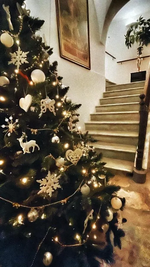 Palazzo Salia Bed & Breakfast Lecce